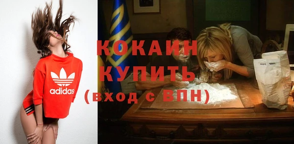 соль ск Кулебаки