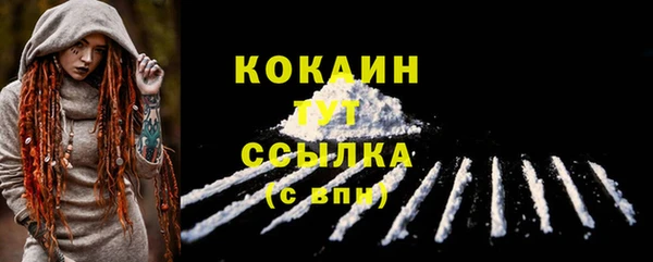 ПСИЛОЦИБИНОВЫЕ ГРИБЫ Кукмор