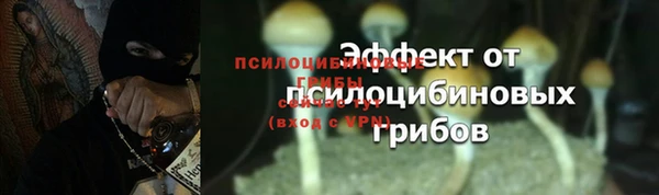 сатива Куйбышев