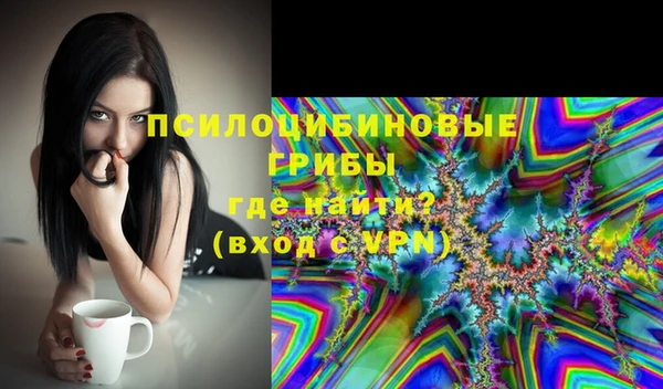 ПСИЛОЦИБИНОВЫЕ ГРИБЫ Кукмор