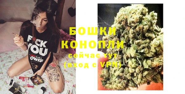сатива Куйбышев