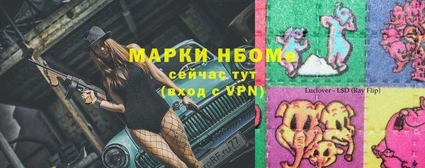 сатива Куйбышев