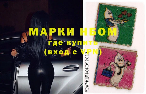 сатива Куйбышев