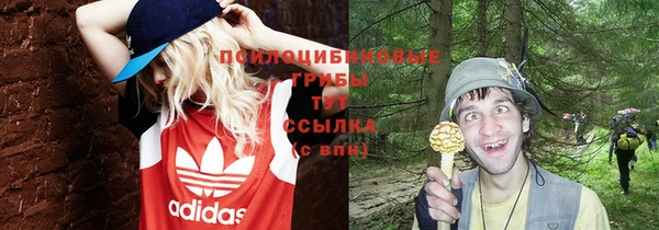 соль ск Кулебаки