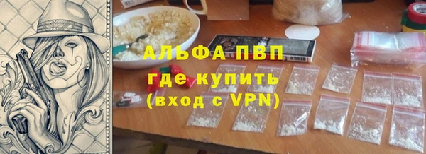 ПСИЛОЦИБИНОВЫЕ ГРИБЫ Кукмор