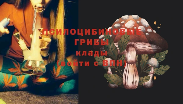 ПСИЛОЦИБИНОВЫЕ ГРИБЫ Кукмор