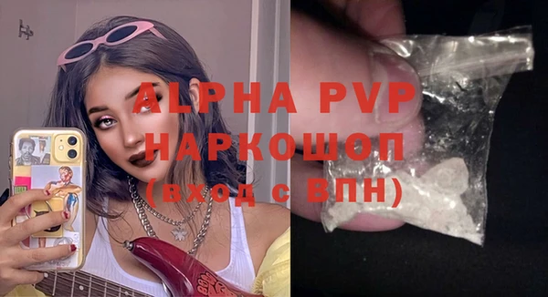 сатива Куйбышев