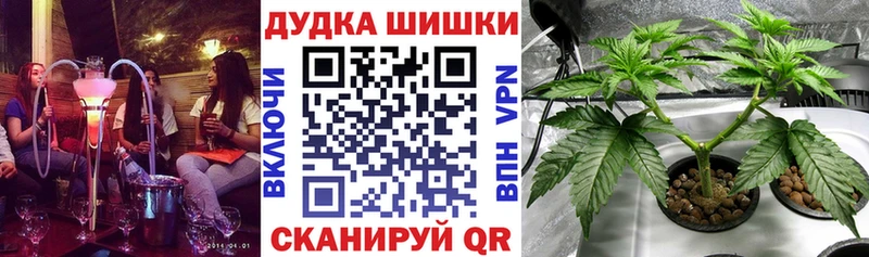 кракен tor  Мосальск  Бошки марихуана SATIVA & INDICA 